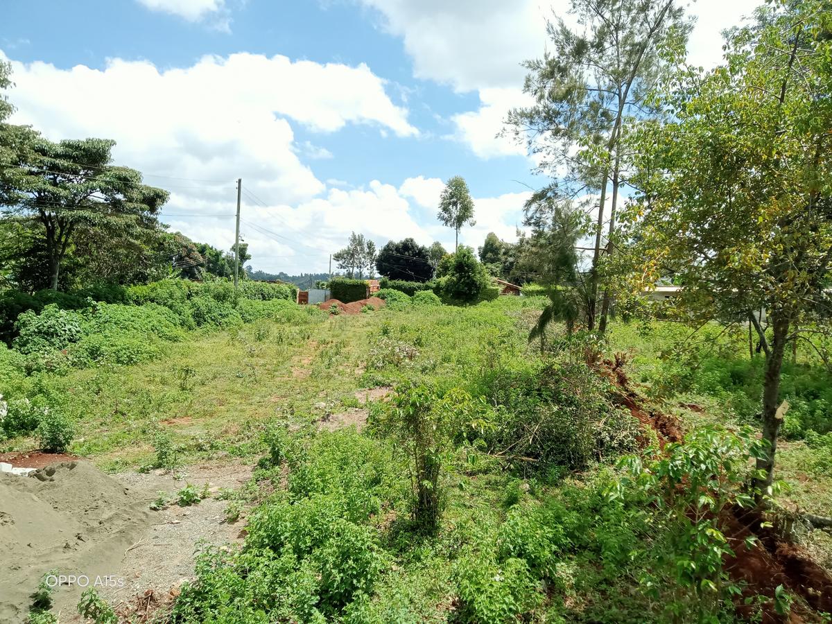 Commercial Land in Banana - 12