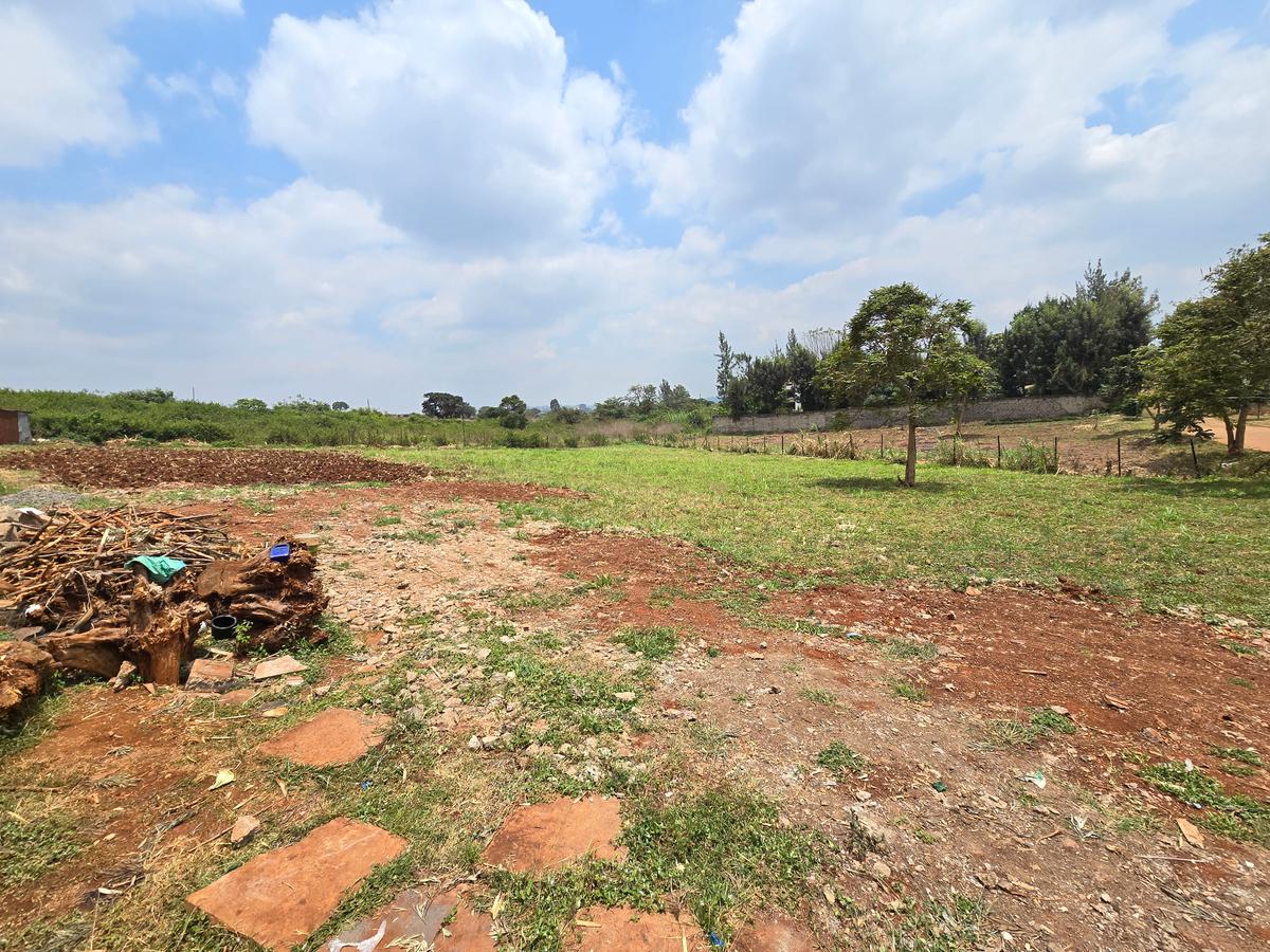 Residential Land at Runda Garden - 5