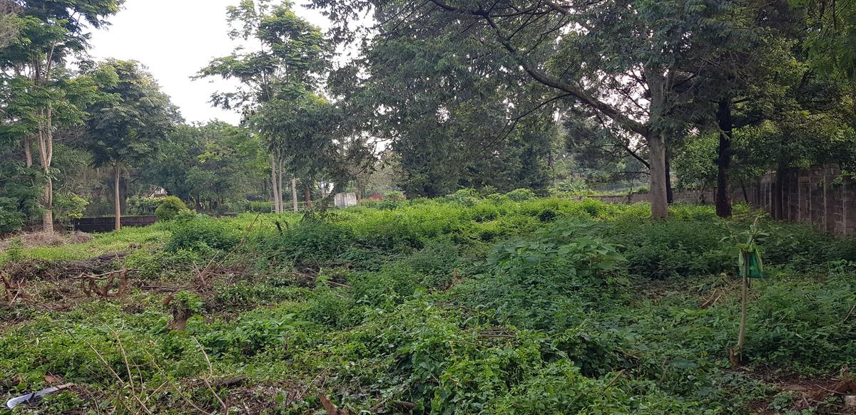 Residential Land at Shanzu Road - 9