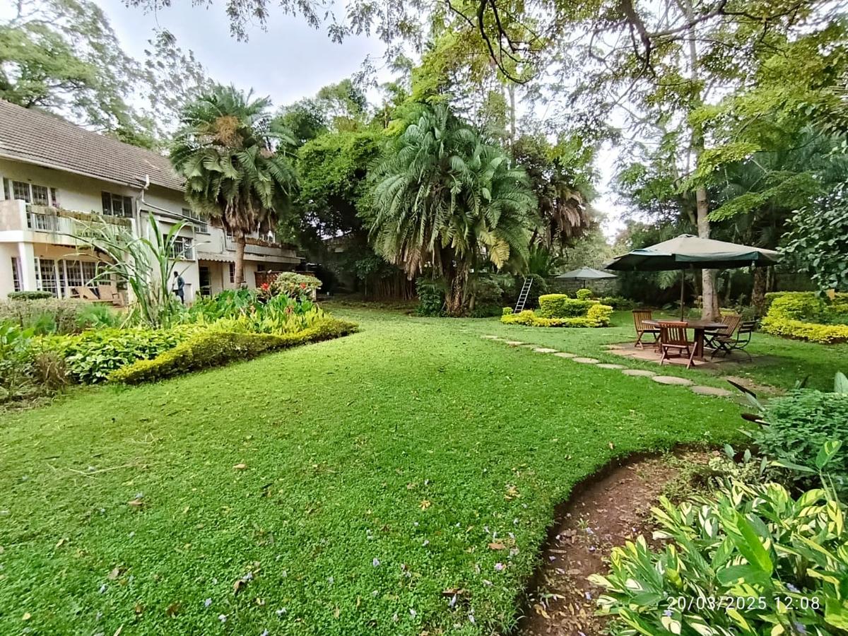 Commercial Property with Fibre Internet in Lavington - 3
