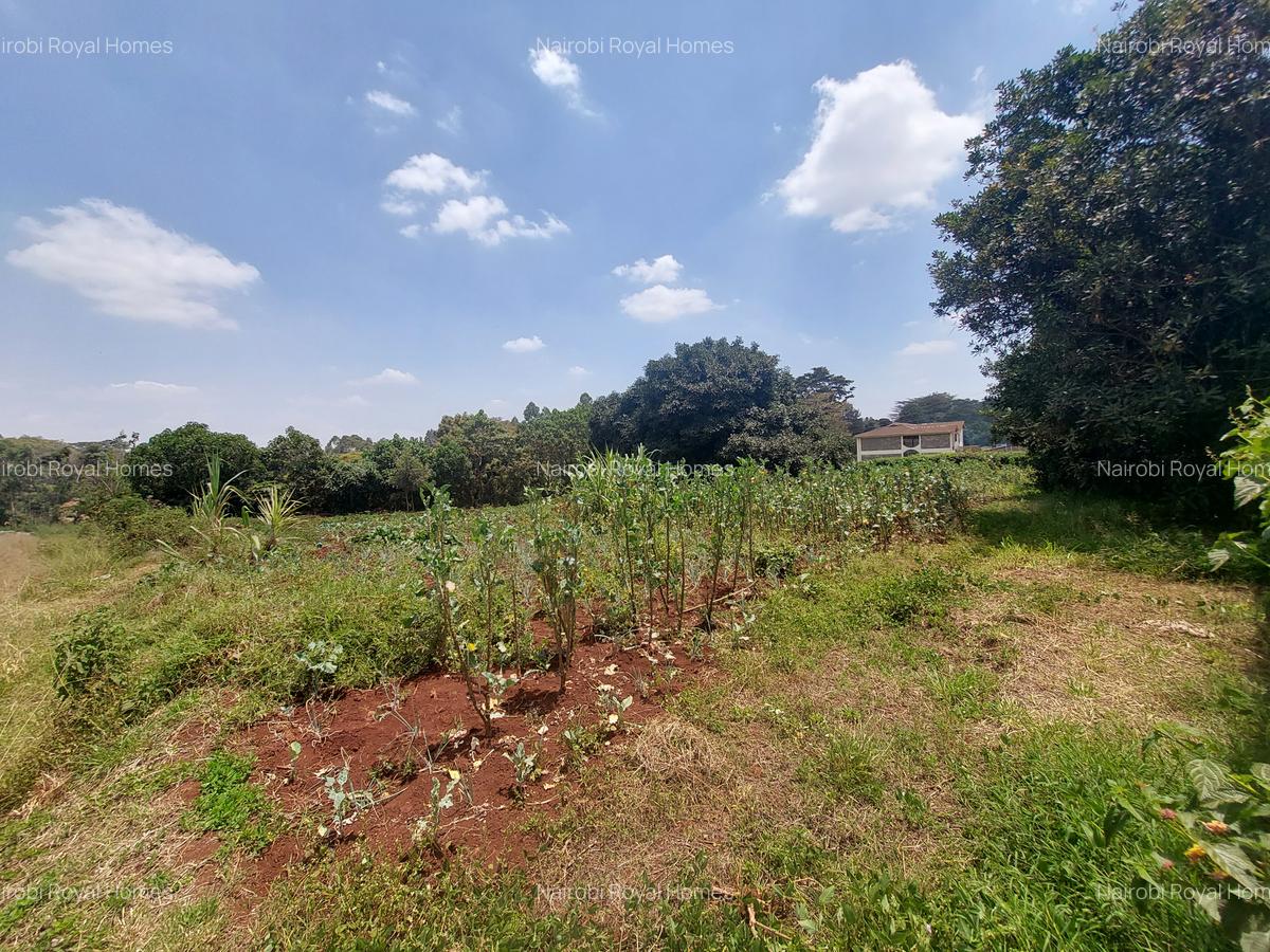 Residential Land at Kinanda Road - 3
