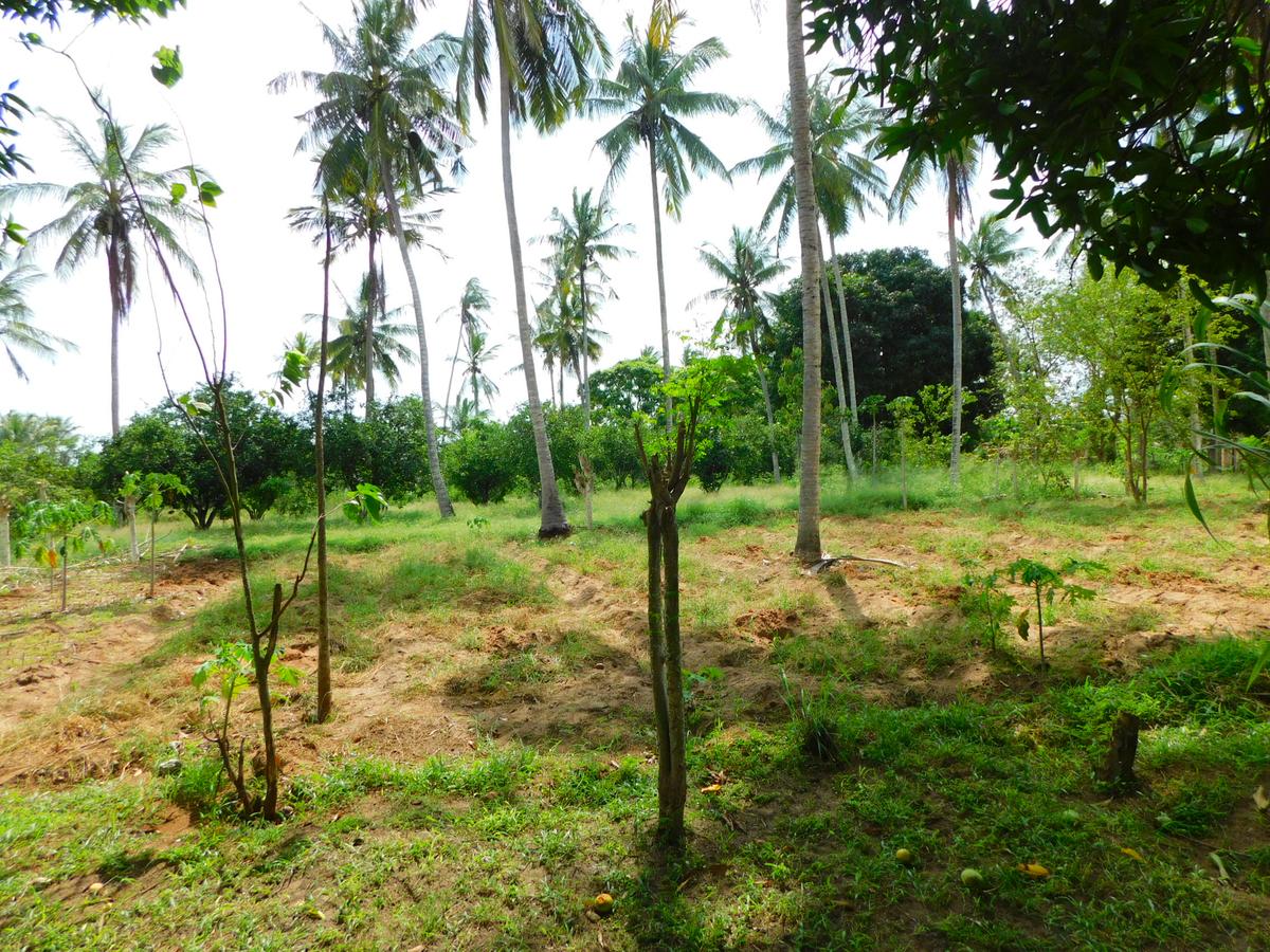 8 ac Land in Kikambala - 9