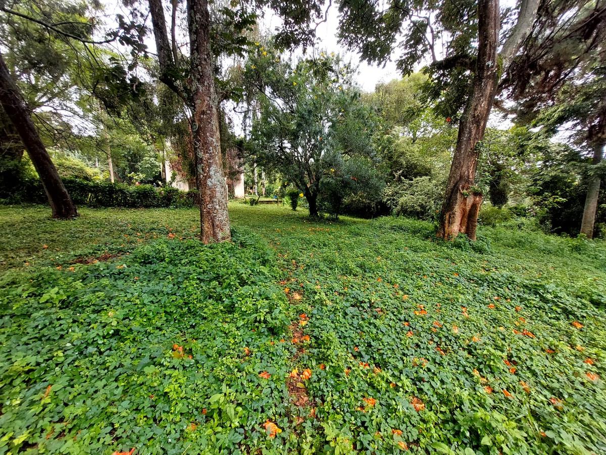 Residential Land at Lower Kabete Rd - 2