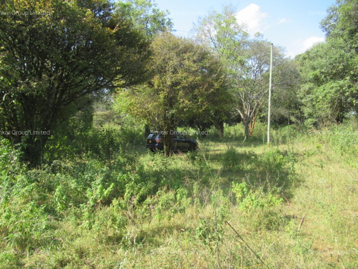 9 ac Land at Karen - 5