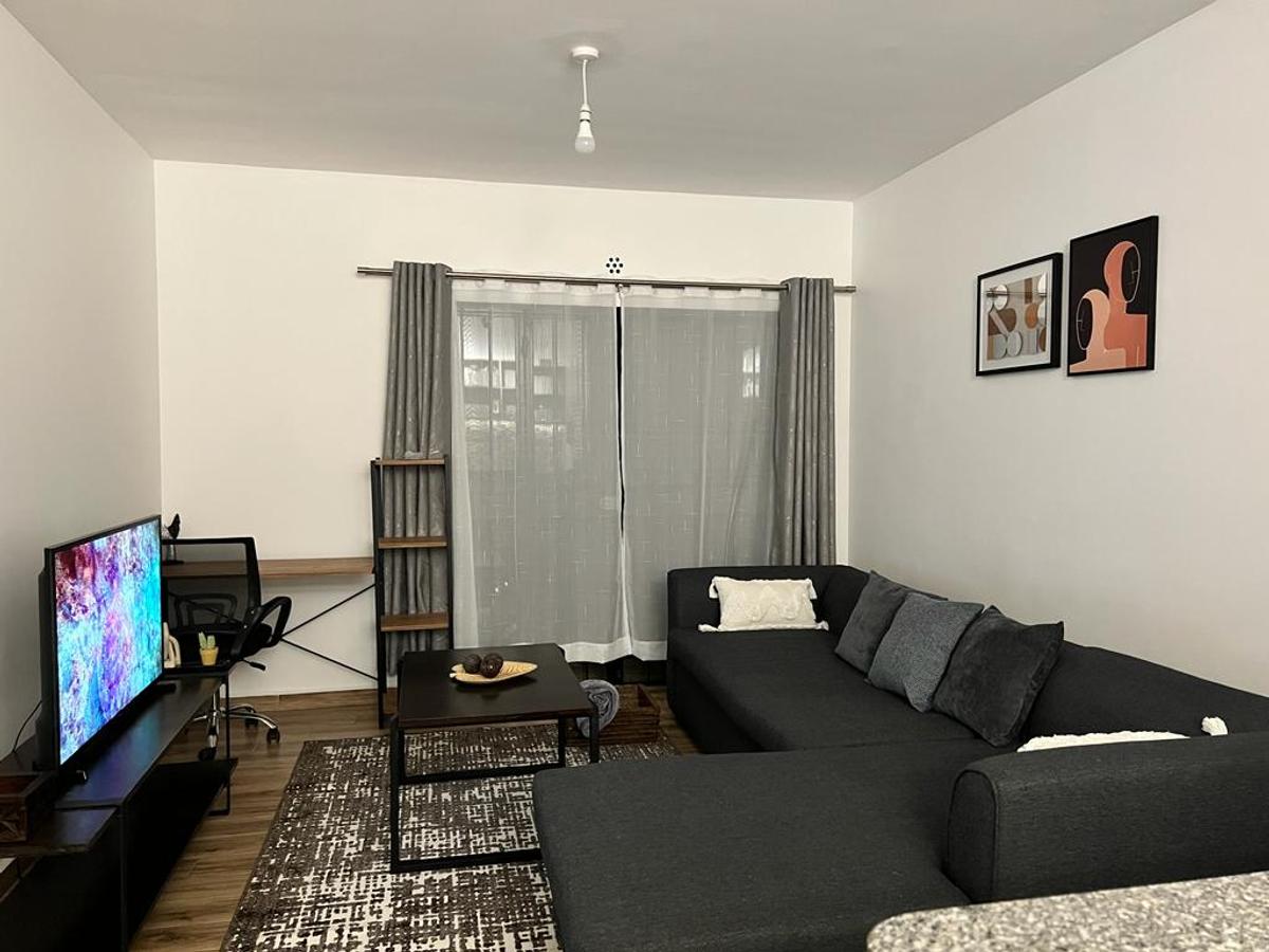 Furnished 2 Bed Apartment with En Suite in Tatu City - 18