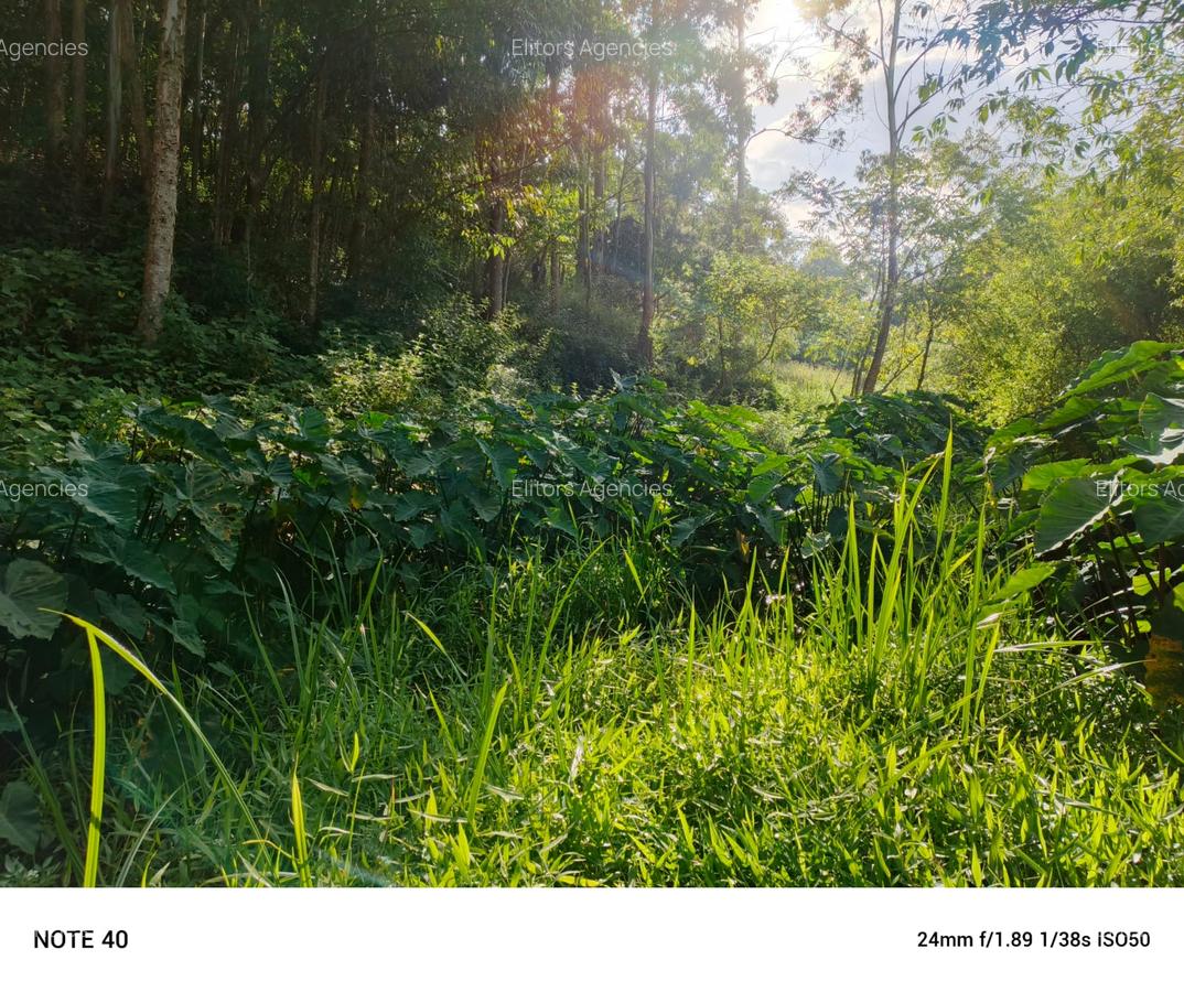 0.42 ac Residential Land at Kirawa Road - 2