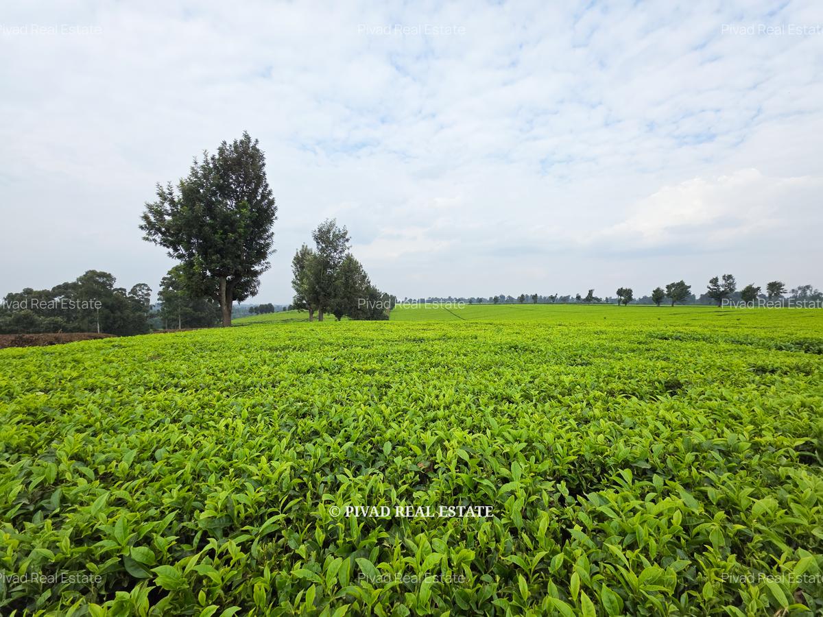 995 ac Land in Tigoni - 9