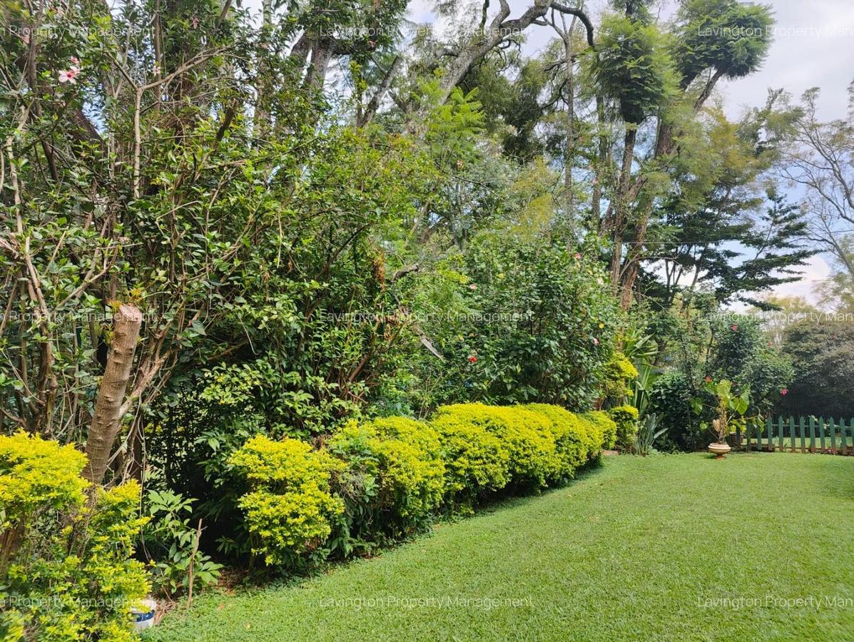 0.8 ft² Commercial Land at Majimzuri - 19