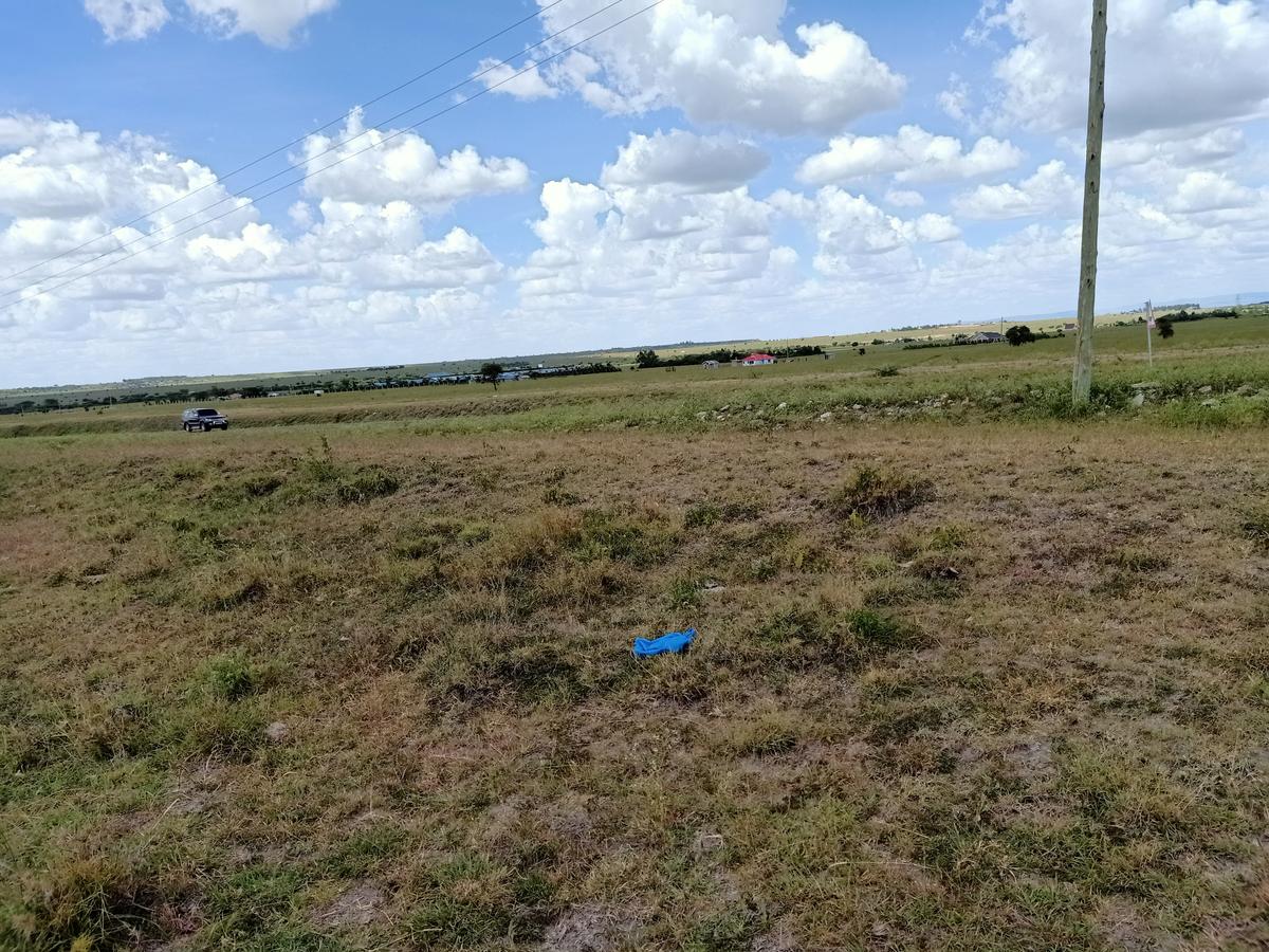 0.125 ac Land at Kiserian-Isinya - 1