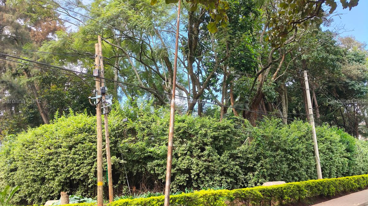 Commercial Land at Off Peponi Road - 1