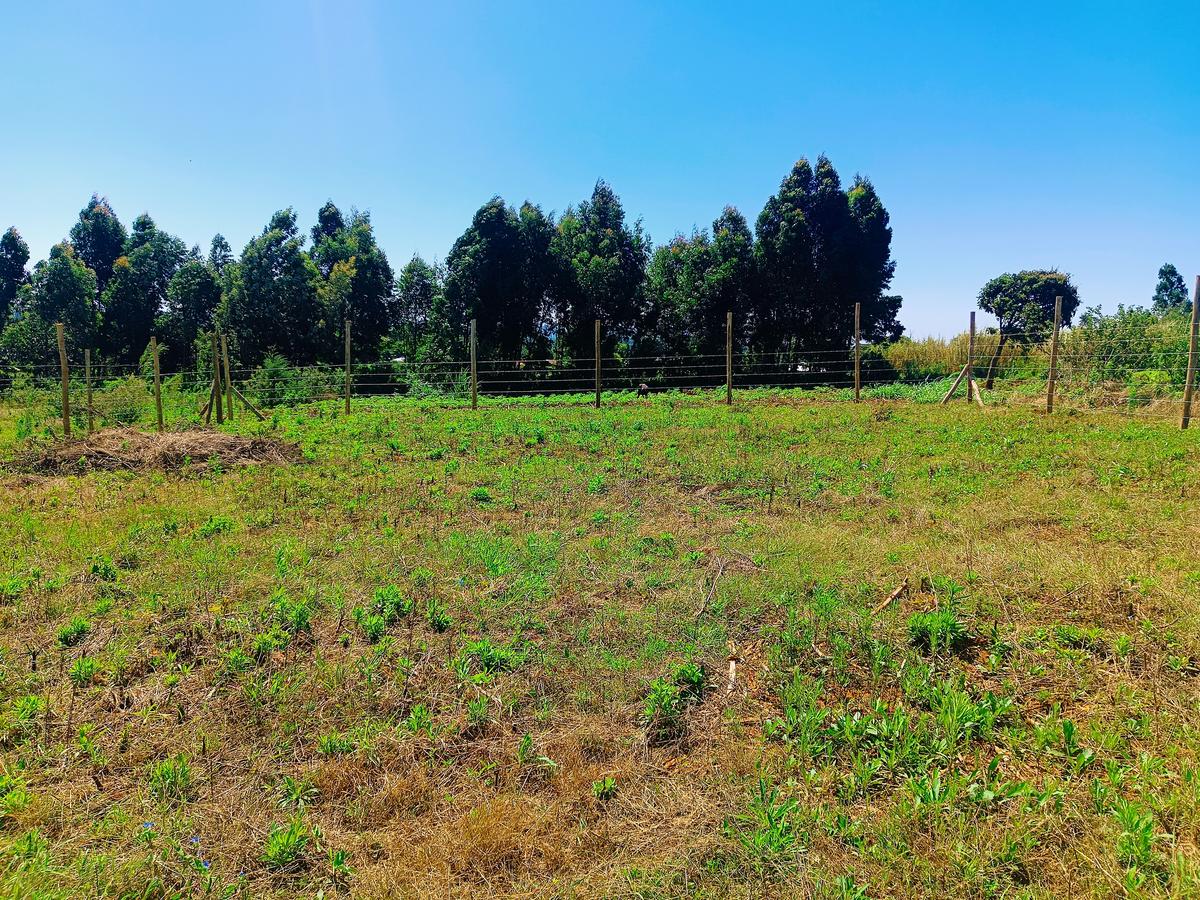 450 m² Residential Land at Ha. Koinange - 10