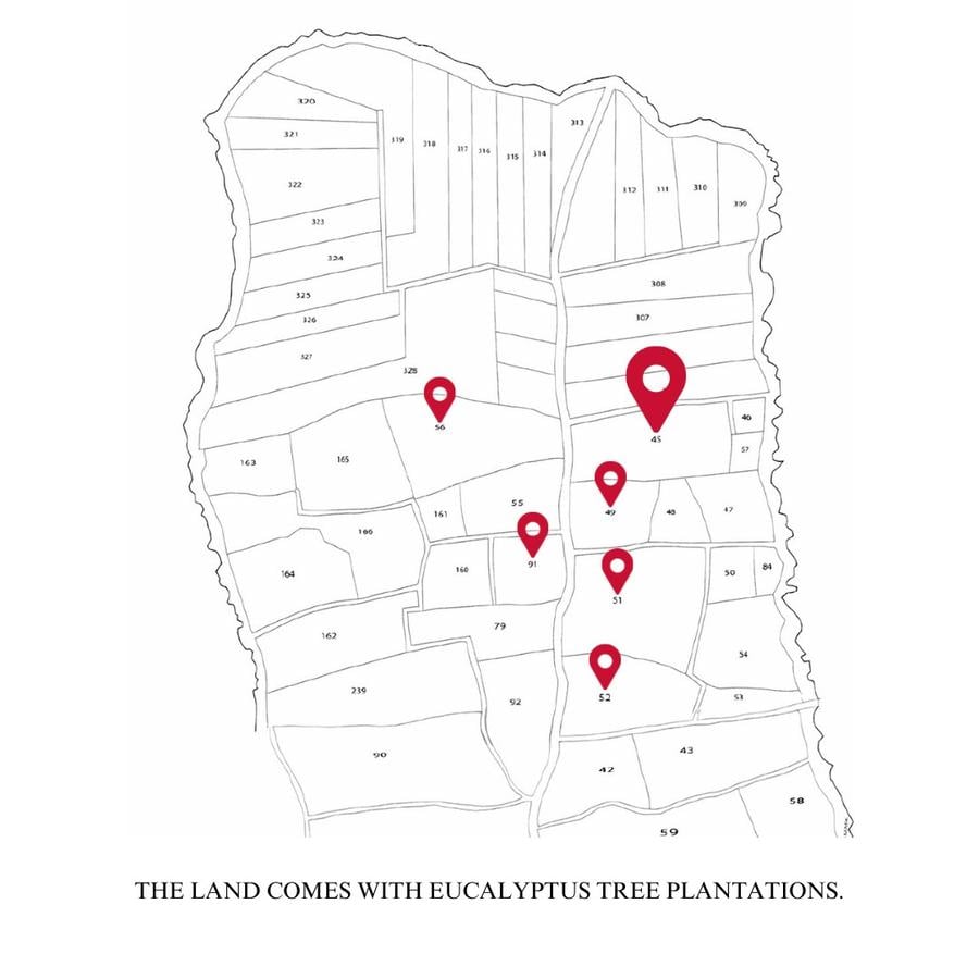 100 ac Land at Funzi Island. Ukunda - 12