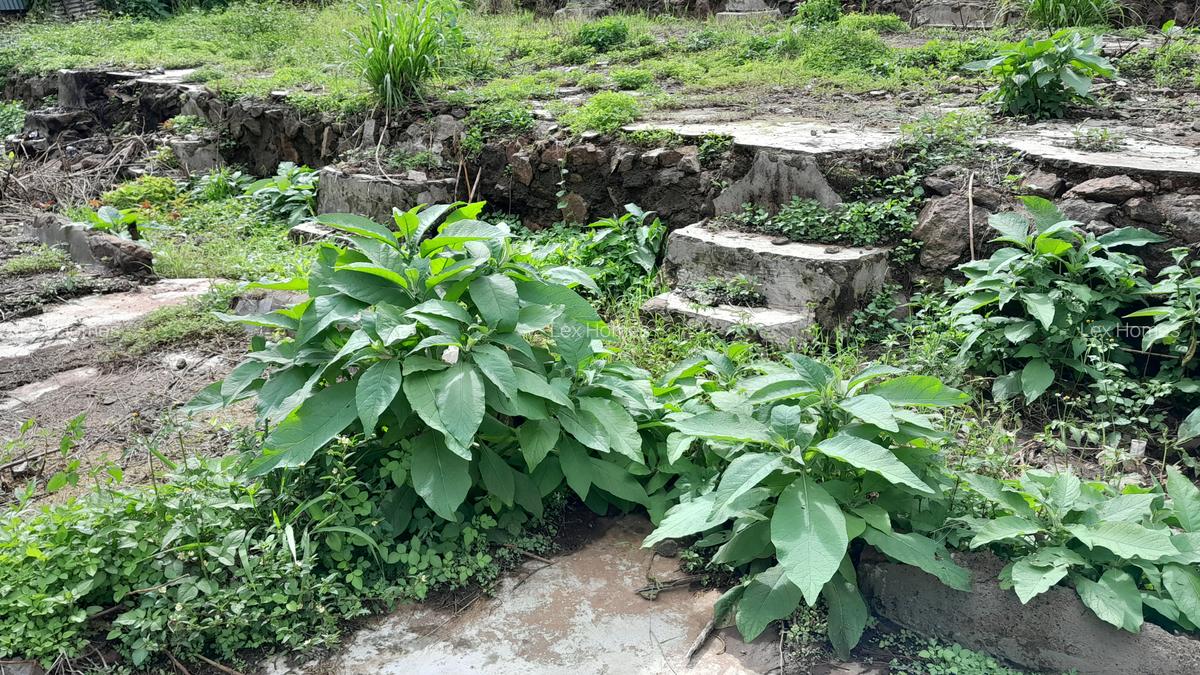 2.25 ac Commercial Land at Rongai - 13