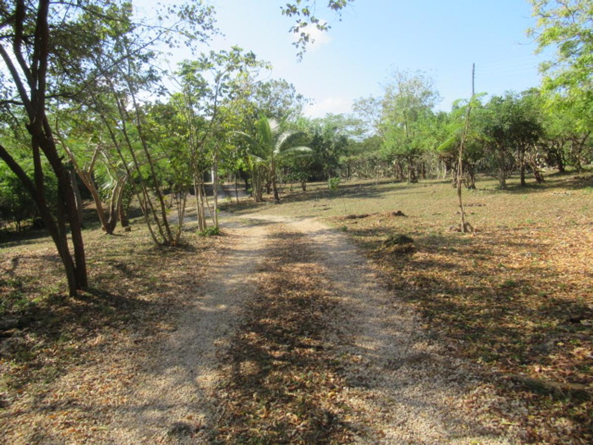 Land at Diani - 2