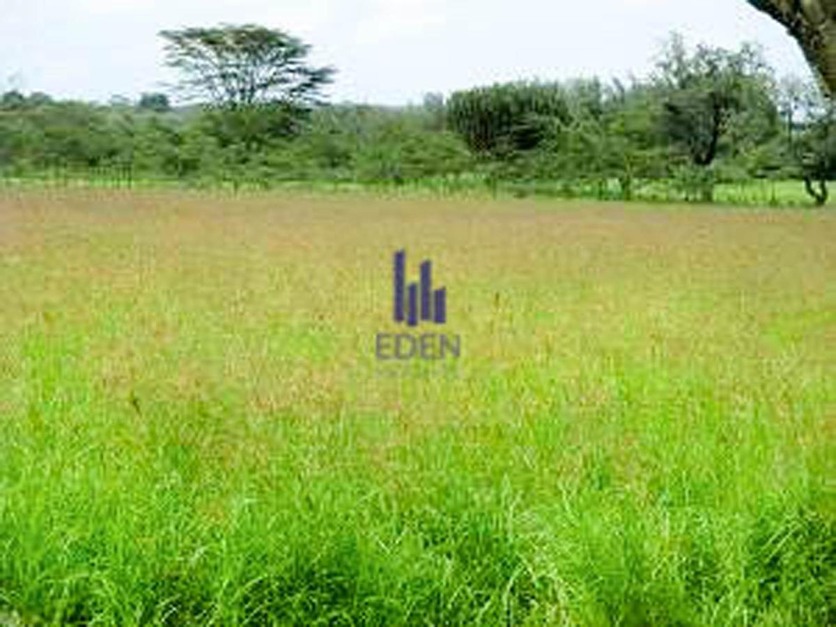 0.86 ac Land in Lavington - 1