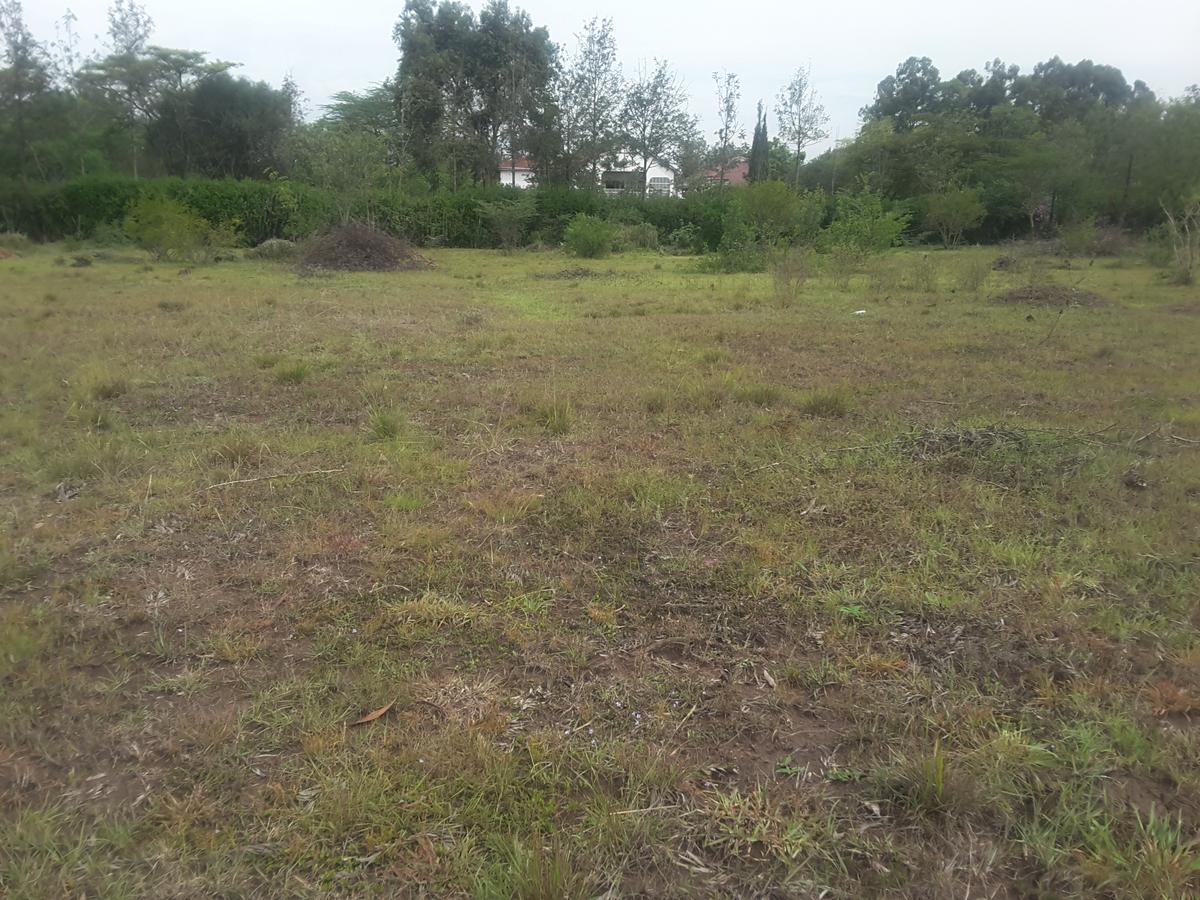 0.5 ac Residential Land in Karen - 1