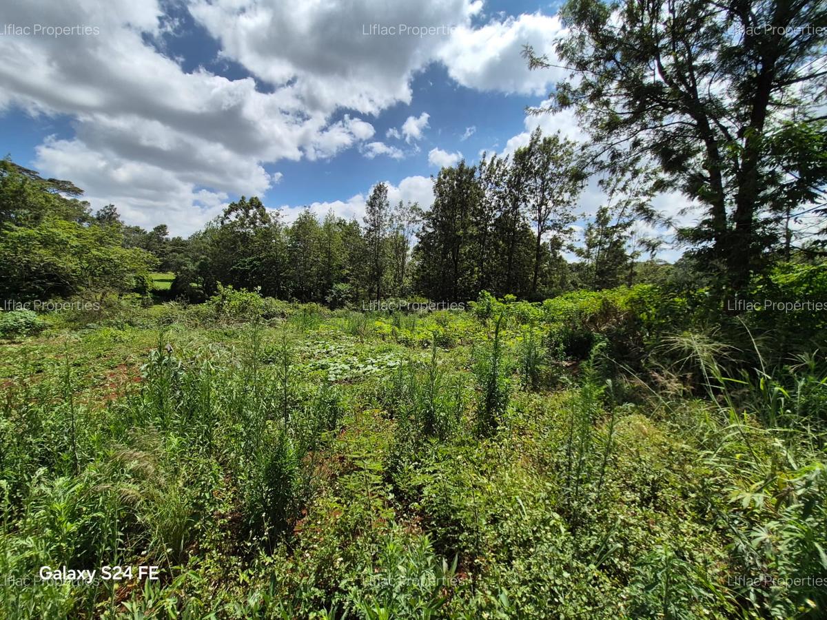 5,057 m² Residential Land at Mushroom Estate - 4