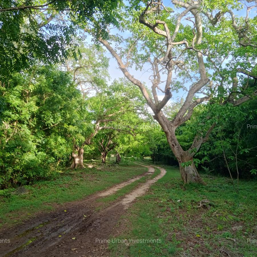 90 ac Residential Land at Kuruwitu-Vipingo - 5