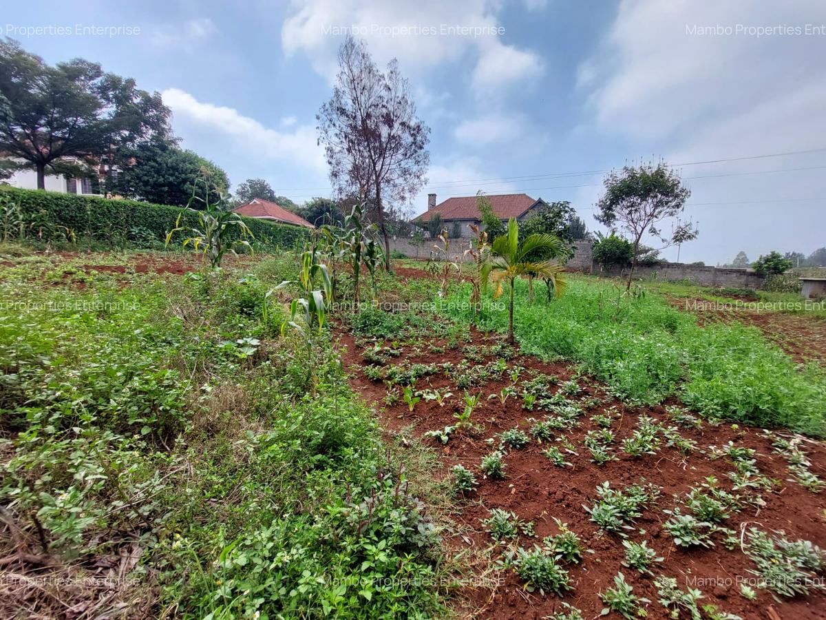 Residential Land at Pan African Insurance Avenue - 4