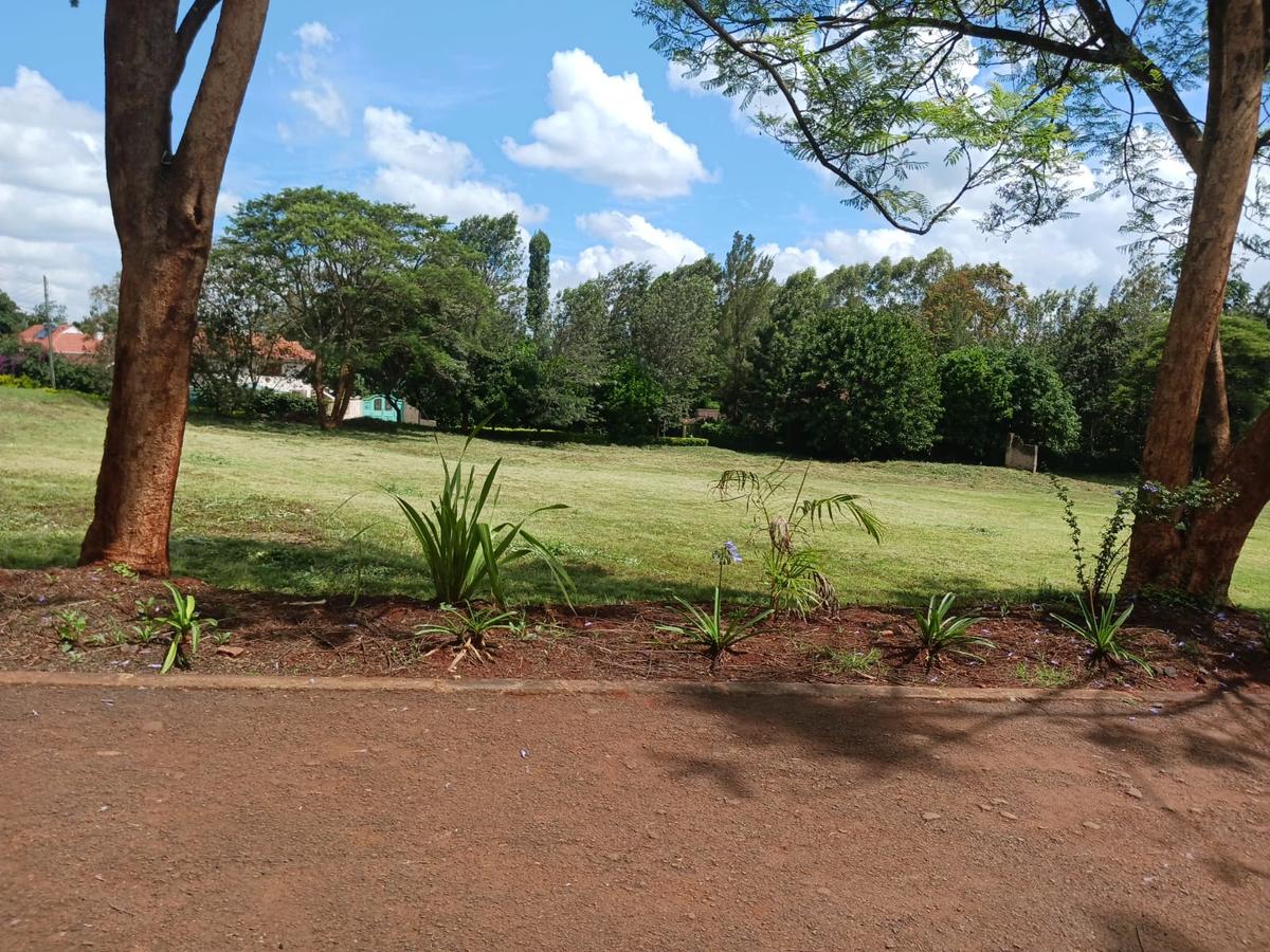 2.25 ac Land at Kitisuru - 14