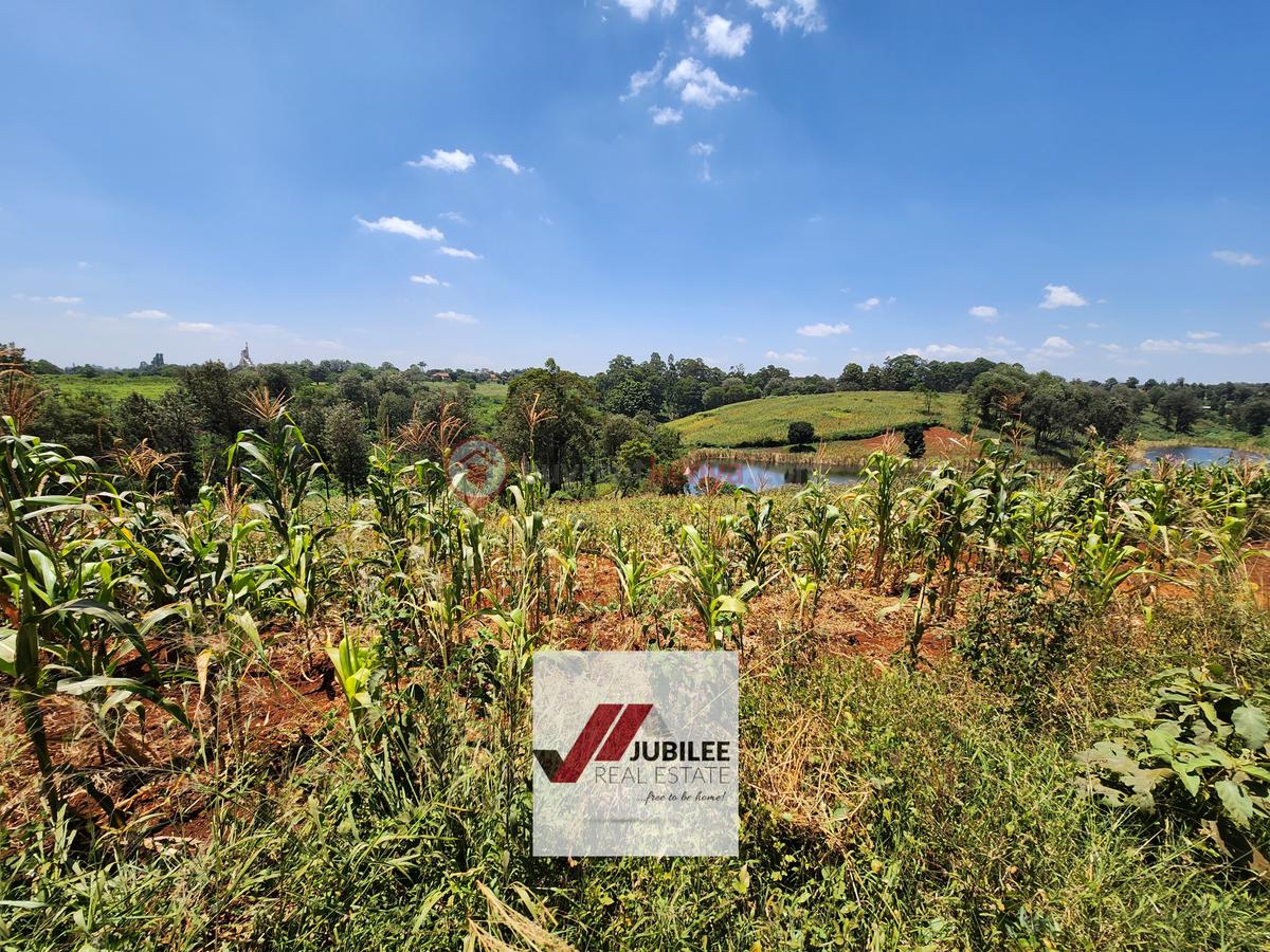 25 ac Land in Kitisuru - 9