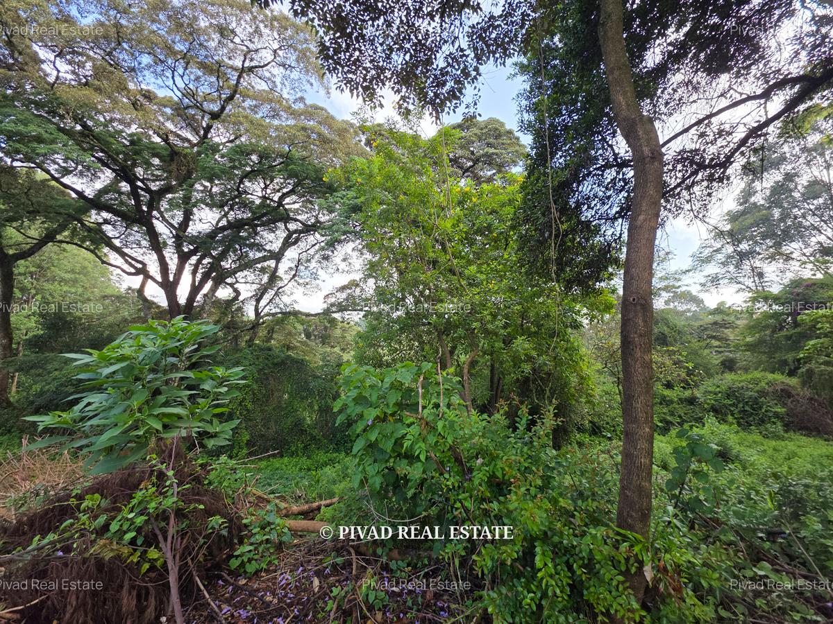 4.8 ac Land in Lower Kabete - 3