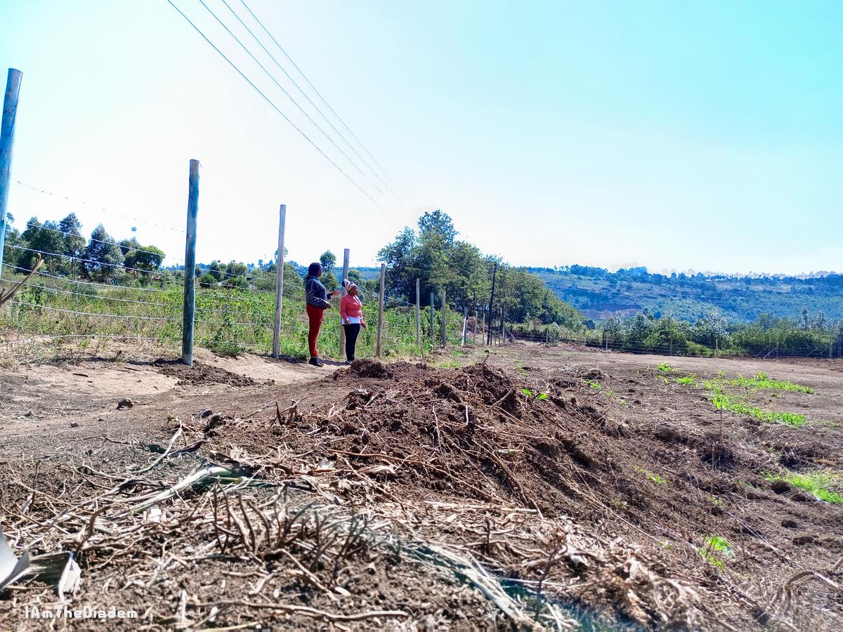 0.05 ha Residential Land at Kikuyu - 4