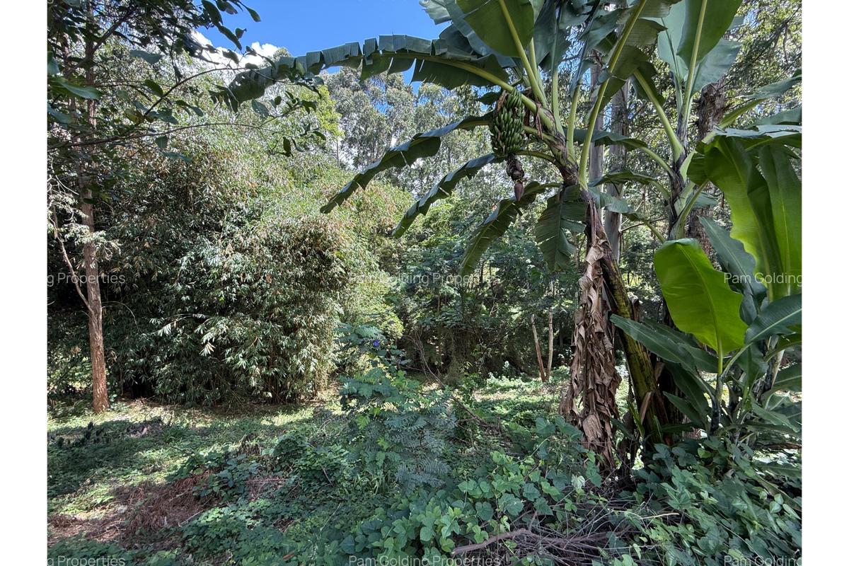 0.6 ac Land at Kitisuru Road - 4
