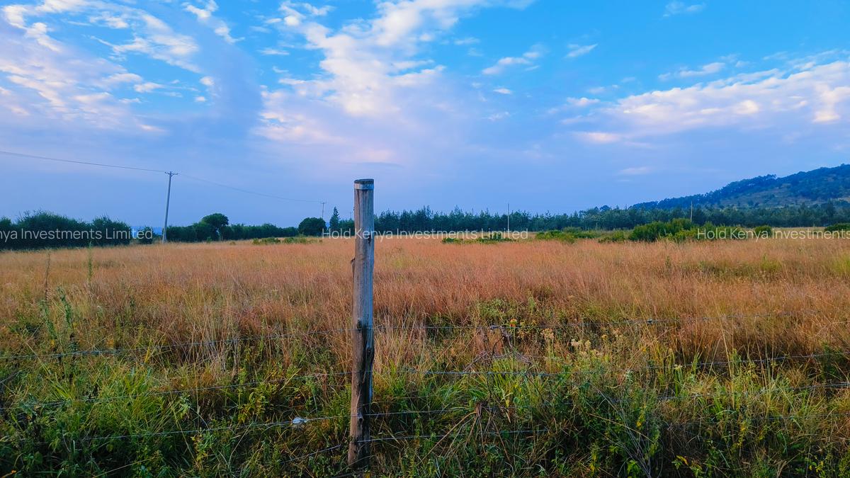 10 ac Land at Mweiga - 11