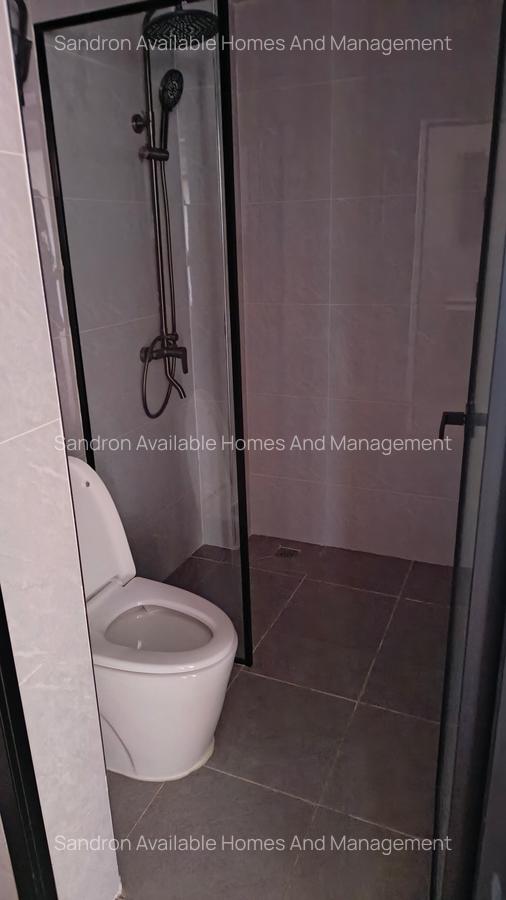 1 Bed Apartment with En Suite in Westlands Area - 8