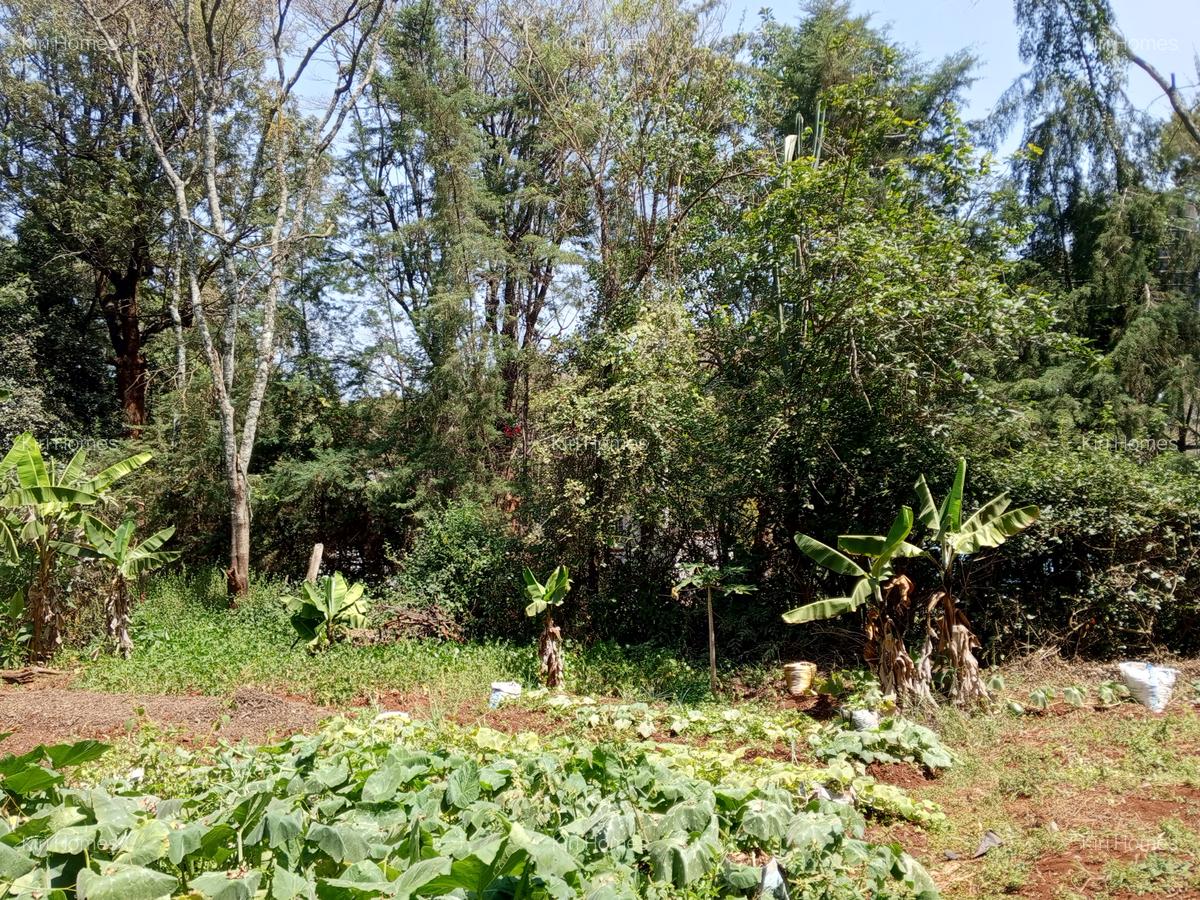 Land in Karen Hardy - 3