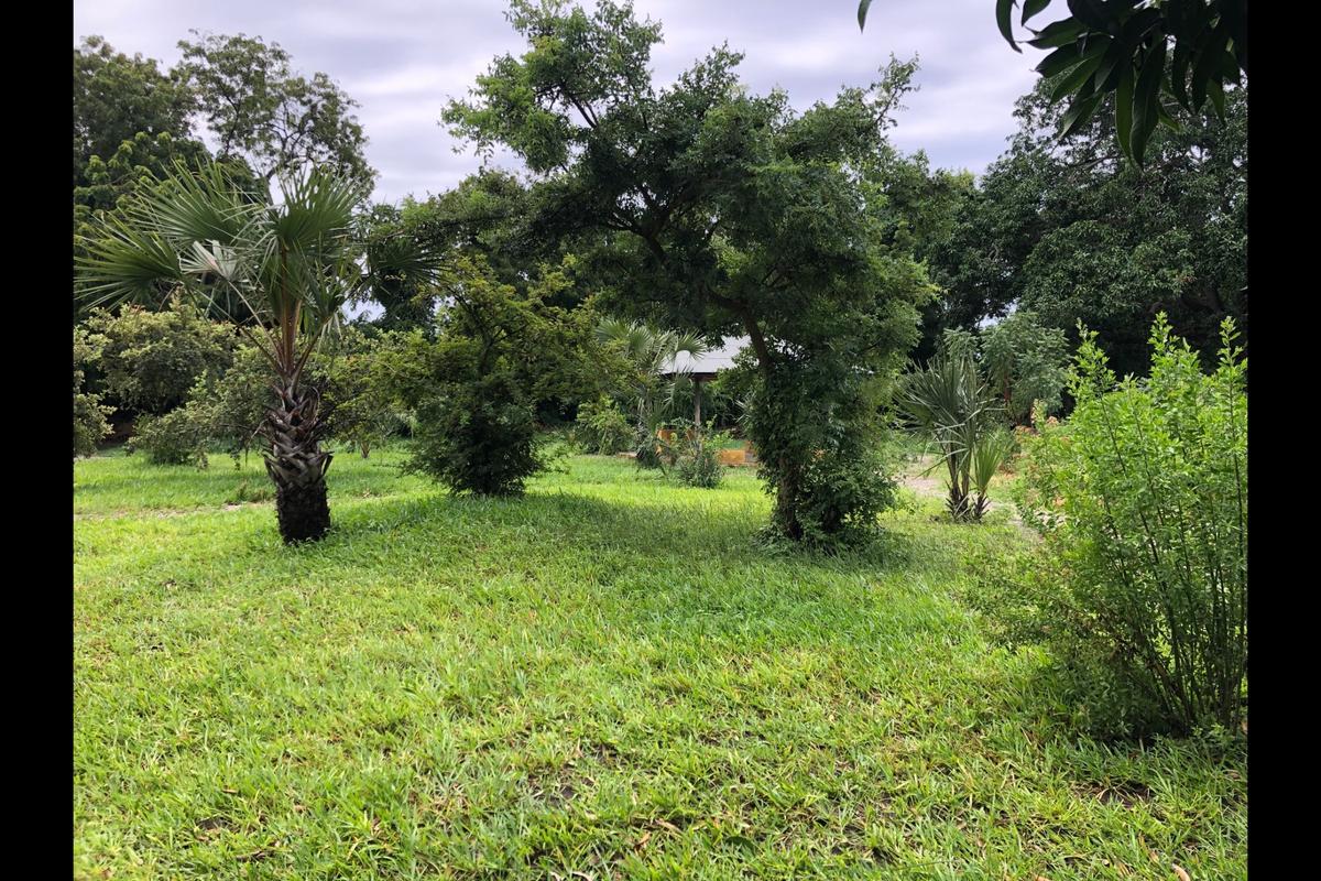 Residential Land in Vipingo - 9