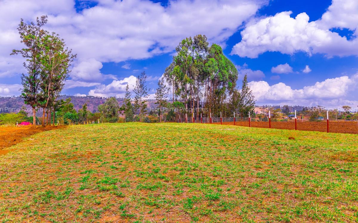 0.4 ac Land at Thigio - 5
