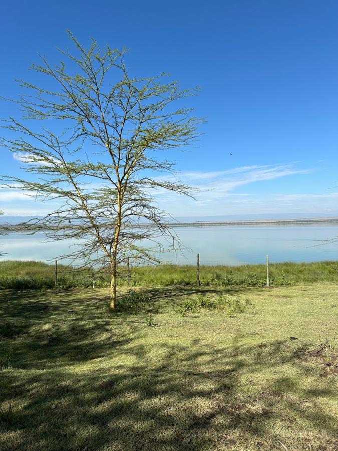 0.25 ac Residential Land at Lake Elementaita - 3