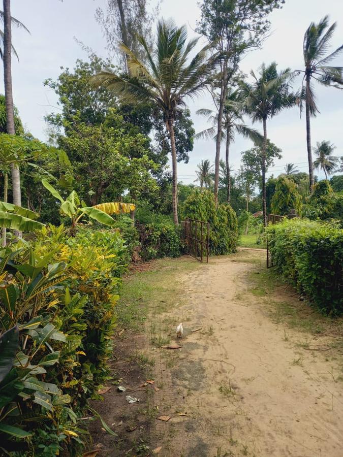 1 ac Land in Kikambala - 6