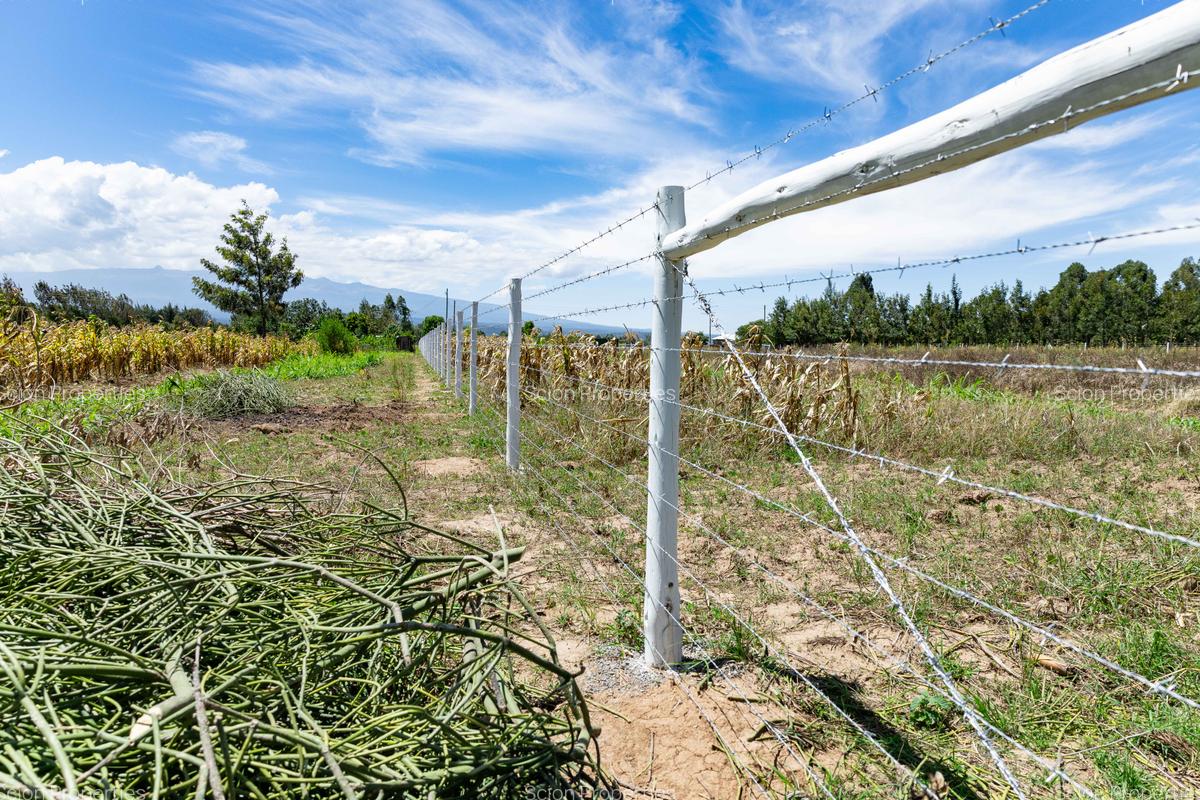 0.125 ac Residential Land in Nanyuki - 11