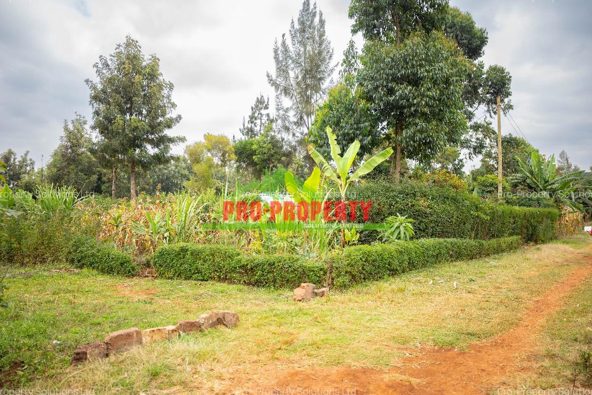 0.05 ha Residential Land in Kikuyu Town - 1
