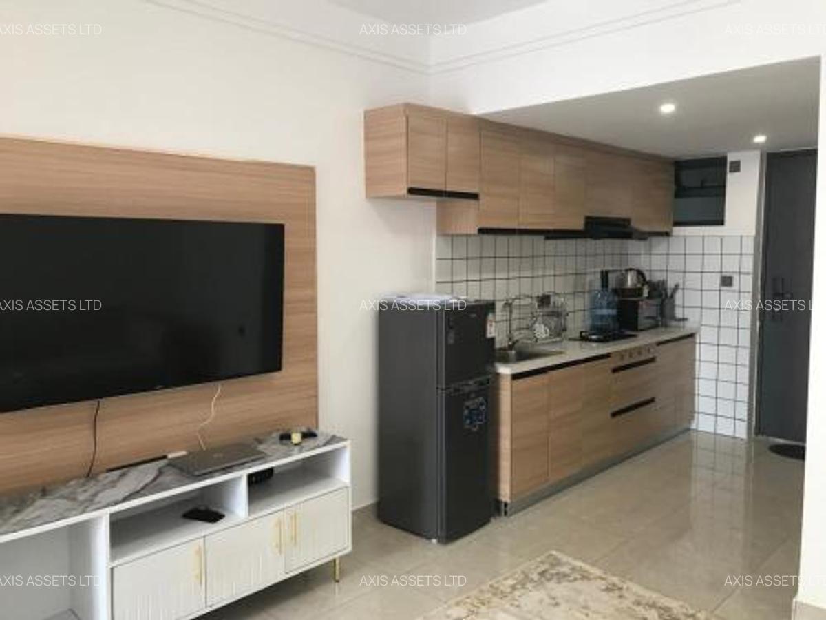 Studio Apartment with Swimming Pool in Ruaka - 2