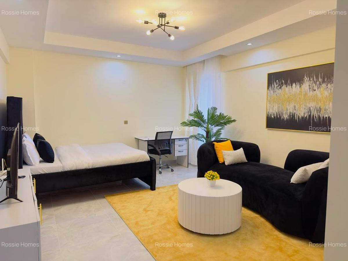 Serviced Studio Apartment with En Suite at Kangundo Rd - 9