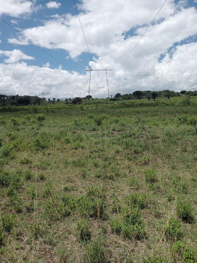 0.25 ac Commercial Land at Lake View - 13