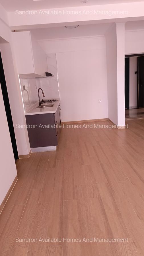 1 Bed Apartment with En Suite in Westlands Area - 3