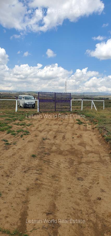 Land at Naivasha - 4
