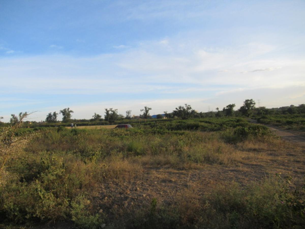 Land at Naivasha Town - 5