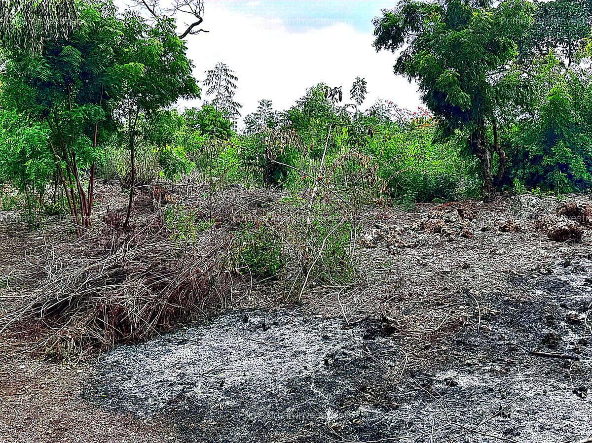 2,010 m² Residential Land at Second Row Kuruwitu Beach - 7