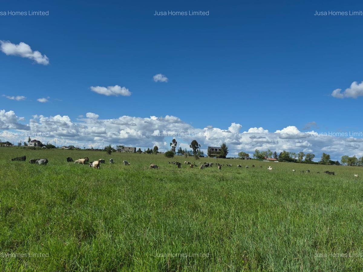 Land in Joska - 2