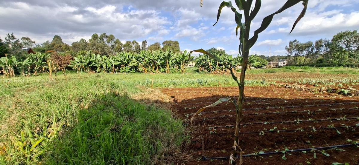 0.2 ha Residential Land at Three Dee Lane - 12