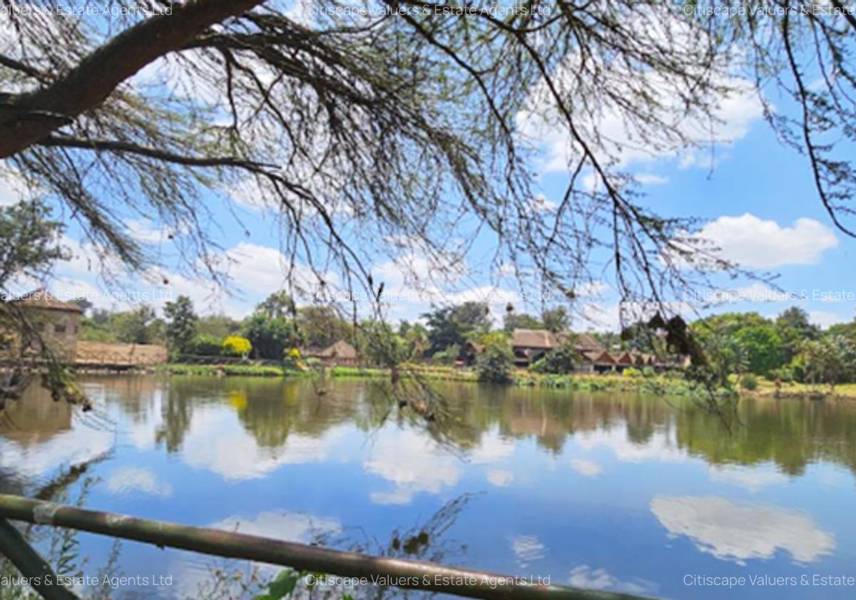 26 ac Land in Karen - 7