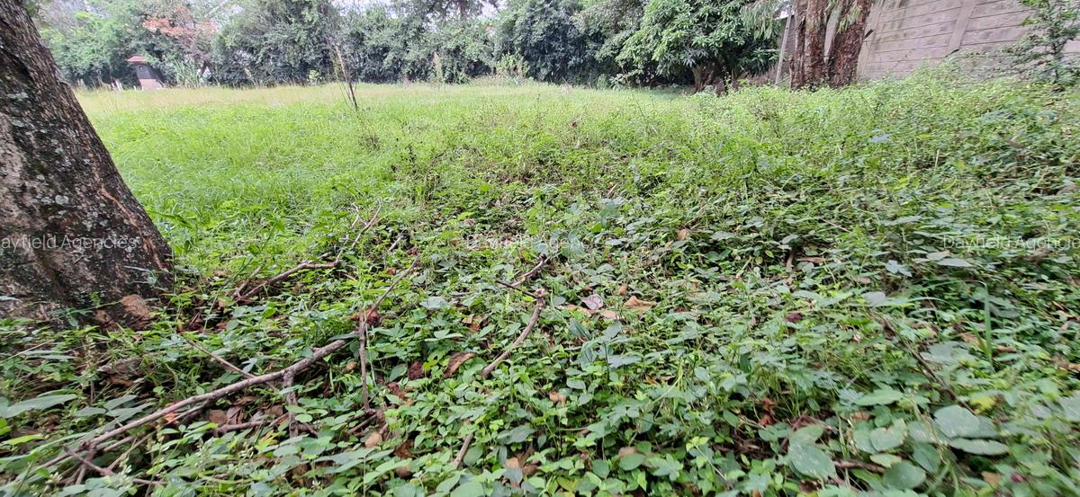 0.51 ac Land at General Mathenge Drive - 2