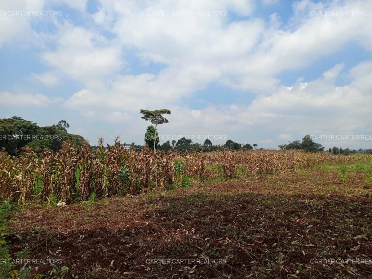 Land in Karen - 2