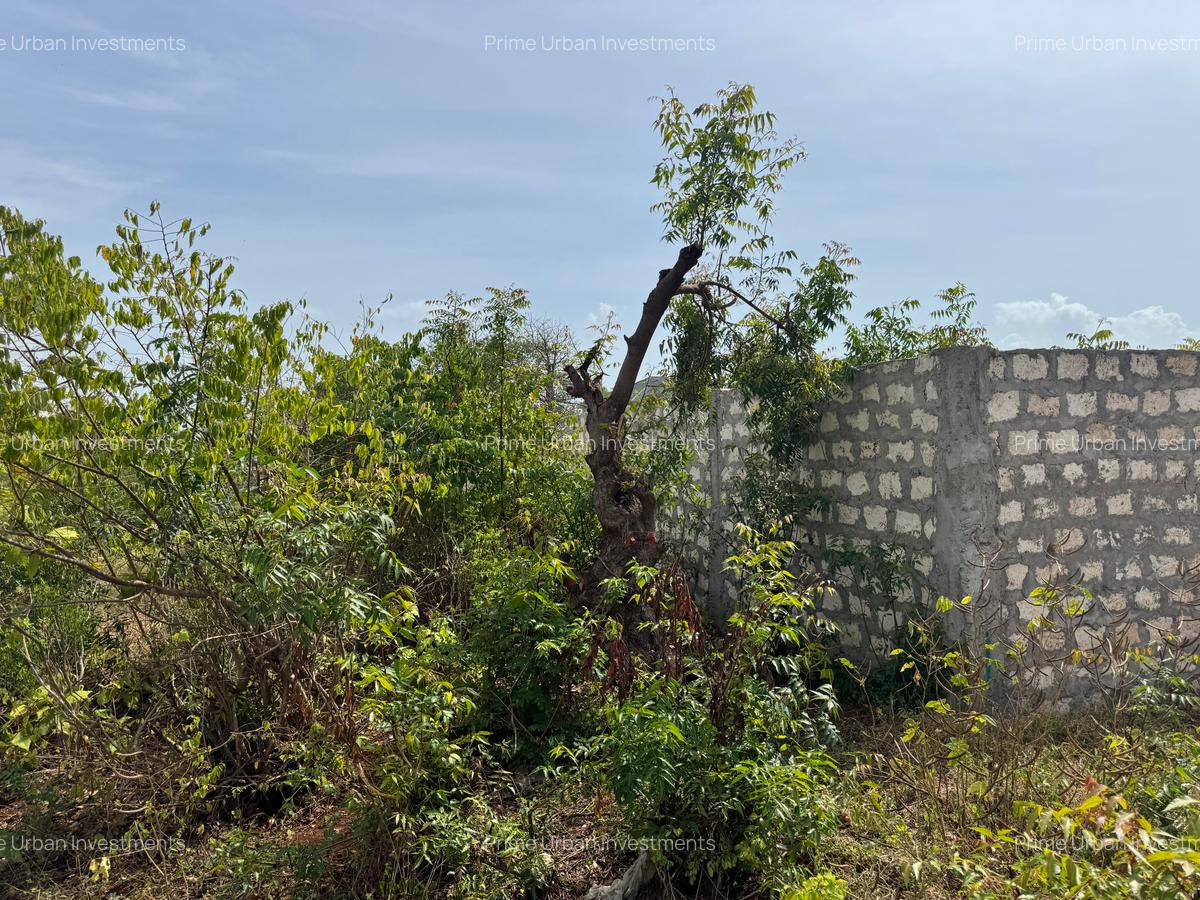 Land in Kilifi - 1